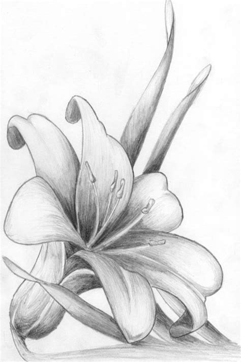 flower Art Drawing Sketches Simple - Antone Twohig