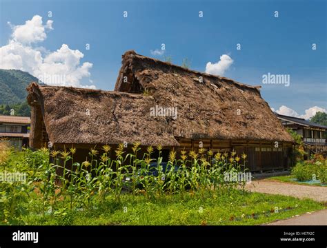 Ogimachi village hi-res stock photography and images - Alamy