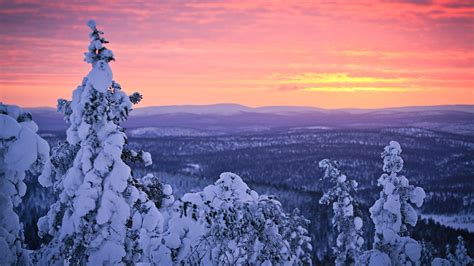 Finland, Lapland, winter snow, forest, sunset, sky Wallpaper | 1920x1080 Full HD resolution ...