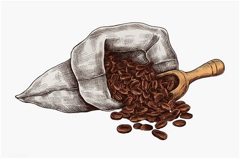 Download premium illustration of Hand drawn coffee beans in a bag 1208984 | Coffee bean art ...