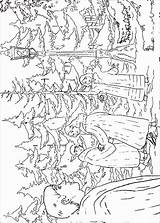 The Chronicles Of Narnia Coloring Pages  Home sketch template