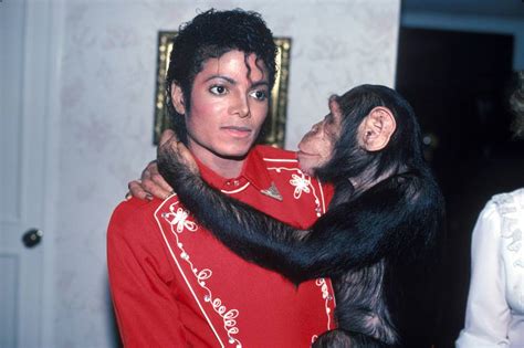 Bubbles the Chimp Photo (24856796) - Fanpop