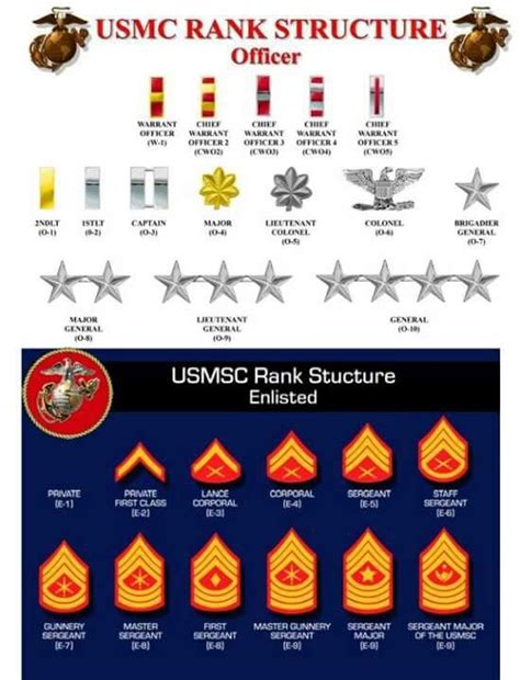 Usmc Enlisted Ranks Chart Helpful For The New Milso And Milspouses Marine Corps Ranks ...