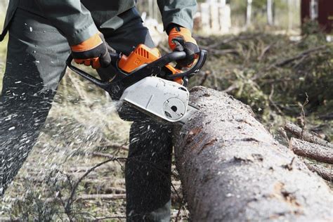 How to "Buck up" Trees With a Chainsaw