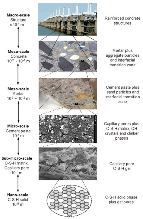 1 Multiscale heterogeneous microstructure of cement-based materials ...