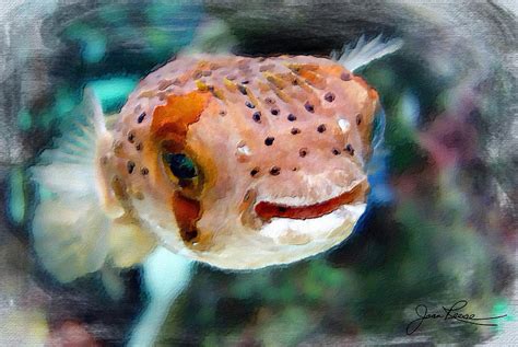 Puffer Fish Painting by Joan Reese