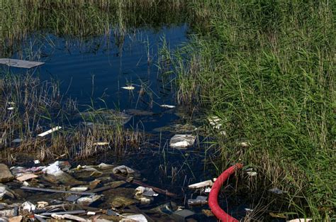 What is Groundwater Pollution, and How Can it be Prevented? - Green Coast