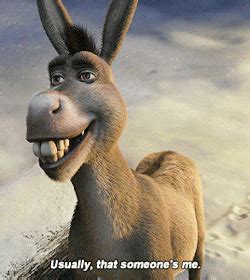 The Best 13 Funny Laughing Donkey Gif - greatwesttoon