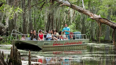 Cajun Bayou & Swamp Tour - New Orleans (With Transportation)