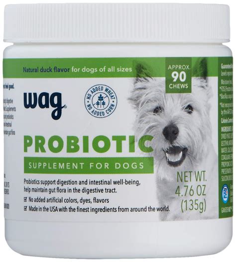 Best Probiotics for Dogs: Keep Your Canine Companion Healthy