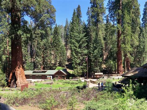 Giant Forest Museum: Sequoia National Park, California