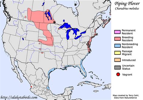 Piping Plover - Species Range Map