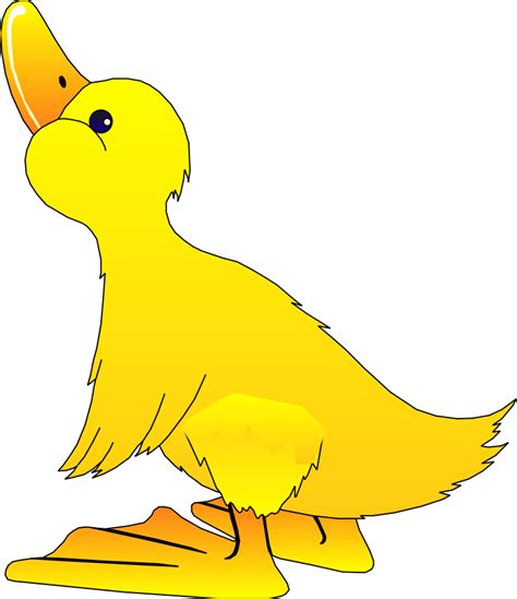 Big Bird Clip Art - Cliparts.co