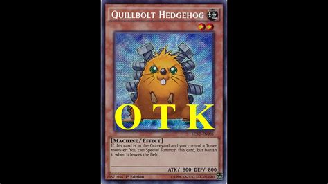 Quillbolt Hedgehog OTK - YouTube