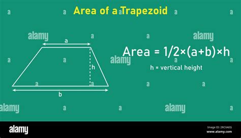 Area formula of trapezoid shapes. Area formulas for trapezium 2d shapes. Vector illustration ...