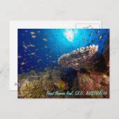 Great Barrier Reef Postcard | Zazzle