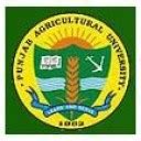 Punjab Agricultural University, Ludhiana, Punjab - Careerindia