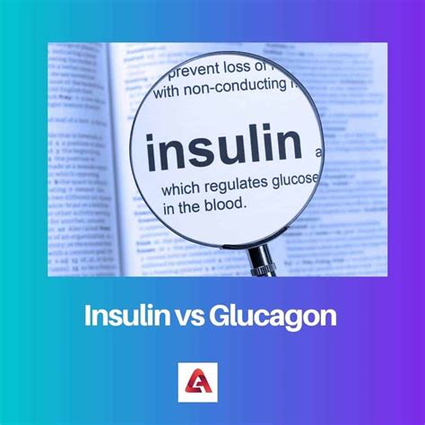 Insulin vs Glucagon: Difference and Comparison