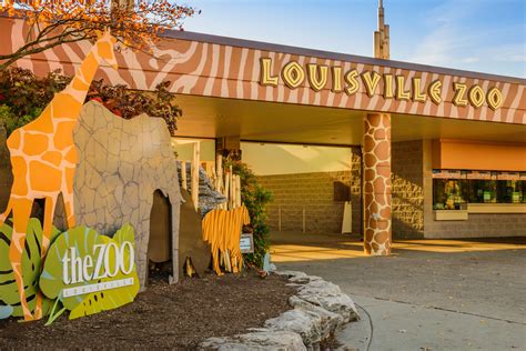 The Louisville Zoo invades our office! - Mediaura Digital Marketing