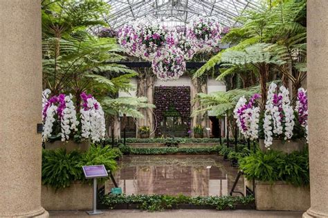 Longwood Gardens Orchid Extravaganza | Garden Destinations Magazine