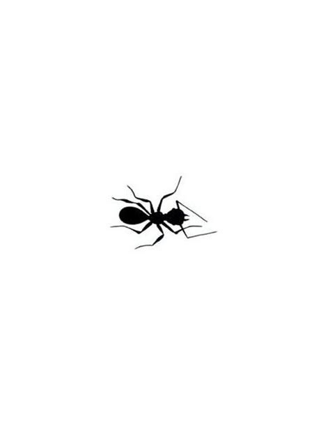 Tiny ant silhouette tattoo design - Tattooimages.biz