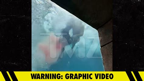 New Bahamas Shark Attack Video, Blood From Child Victim Fills Tank