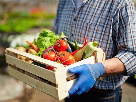 fresh vegetables near me - Nicolette Sample