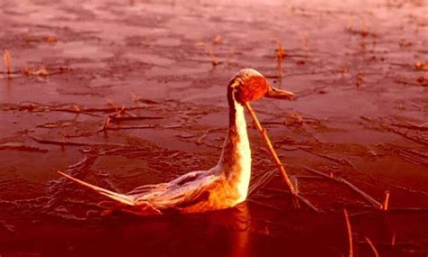 Lake Natron In Tanzania' The Medusa Water that turns Animals into Stone