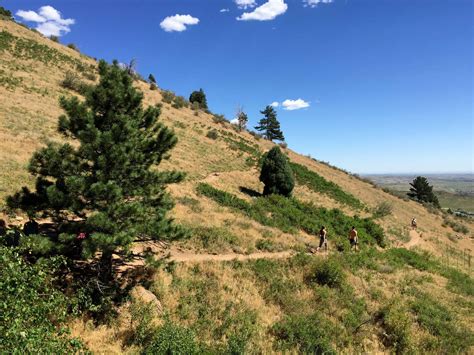 Cedar Gulch Hiking Trail | Mt. Galbraith Trail Loop