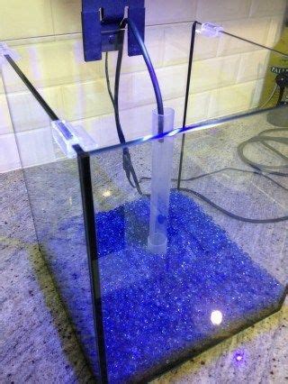 Beautiful DIY desktop jelly tank by a professional jellyfish aquarist – The Helm Lab Blog ...