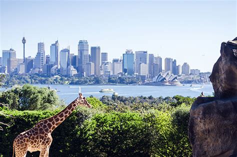 Taronga Zoo, Sydney