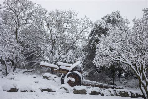 Cold wave continues in Libya with snow fall expected in Green Mountain