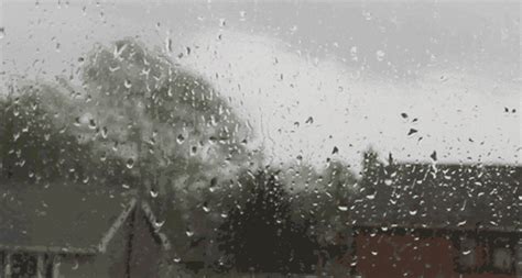 Rain GIF - Find & Share on GIPHY