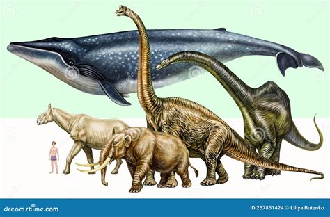 Comparison of the Size of the Blue Whale with the Size of Dinosaurs ...