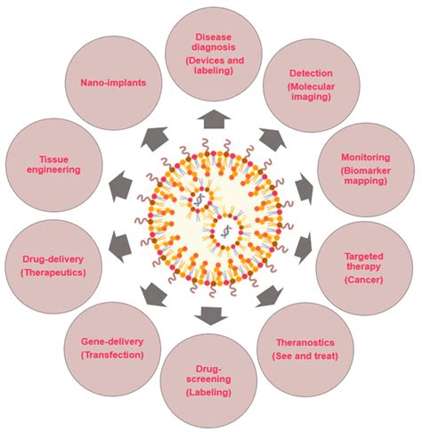 Nanotechnology Applications In Biotechnology