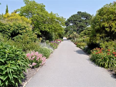 Ventnor Botanic Garden © David Dixon :: Geograph Britain and Ireland