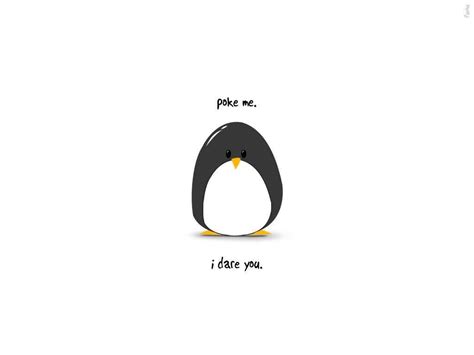 Download Penguin Wallpaper