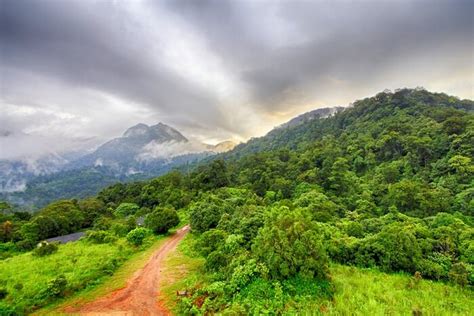 All About The Silent Valley National Park In Kerala