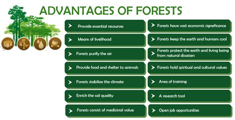 Advantages and Disadvantages of Forests - Javatpoint