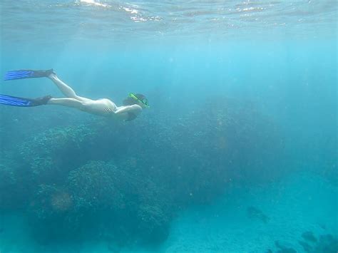 The Best Snorkeling in Hawaii by Month (plus snorkeling spots!) - The Hawaii Vacation Guide ...