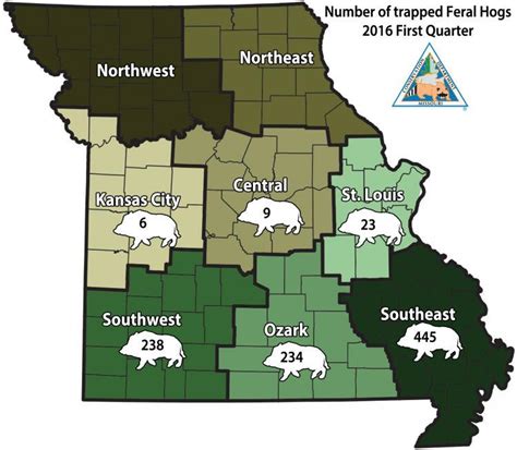 Missouri Department of Conservation bans feral hog hunting on state ...