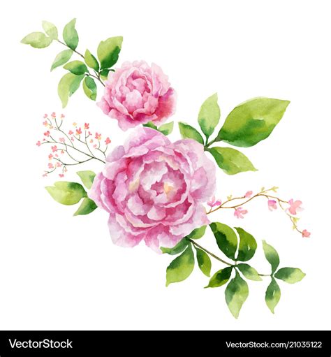 Watercolor hand painting Royalty Free Vector Image