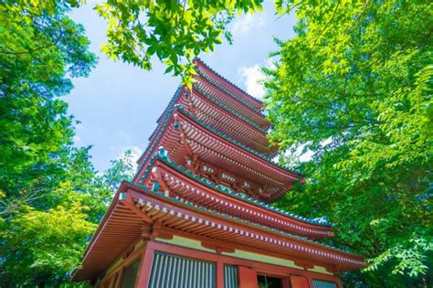 Chiba Prefecture – Hondo-ji Temple’s 50,000 Hydrangeas | GOOD LUCK TRIP