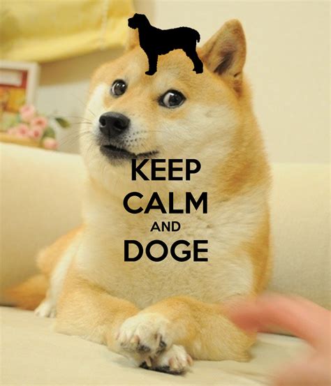 Doge Meme Wallpaper - WallpaperSafari