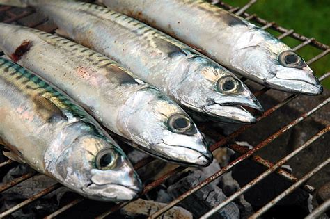 Oily Fish: Mackerel - Whole