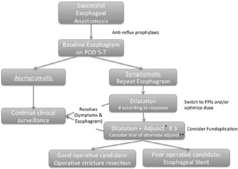 Proposed algorithm for the management of esophageal anastomotic... | Download Scientific Diagram