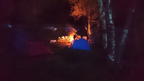 Group Camping at Loch Tummel - Tents, Trees and Bumble Bees