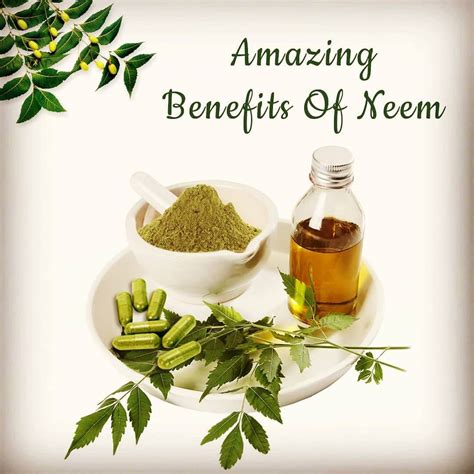 Benefits of Neem Oil for Hair Growth - Sensod