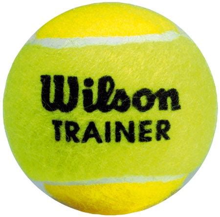 Wilson Trainer Ball Tennis Equipment - review, compare prices, buy online