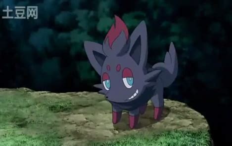 Zoroark Master of Illusions - Pokémon Image (20514803) - Fanpop